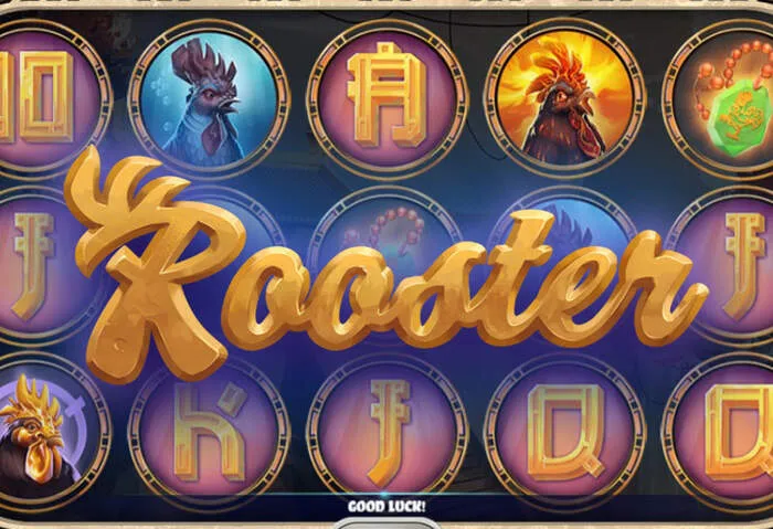 Encontre códigos de bônus sem depósito SpinWin para slots